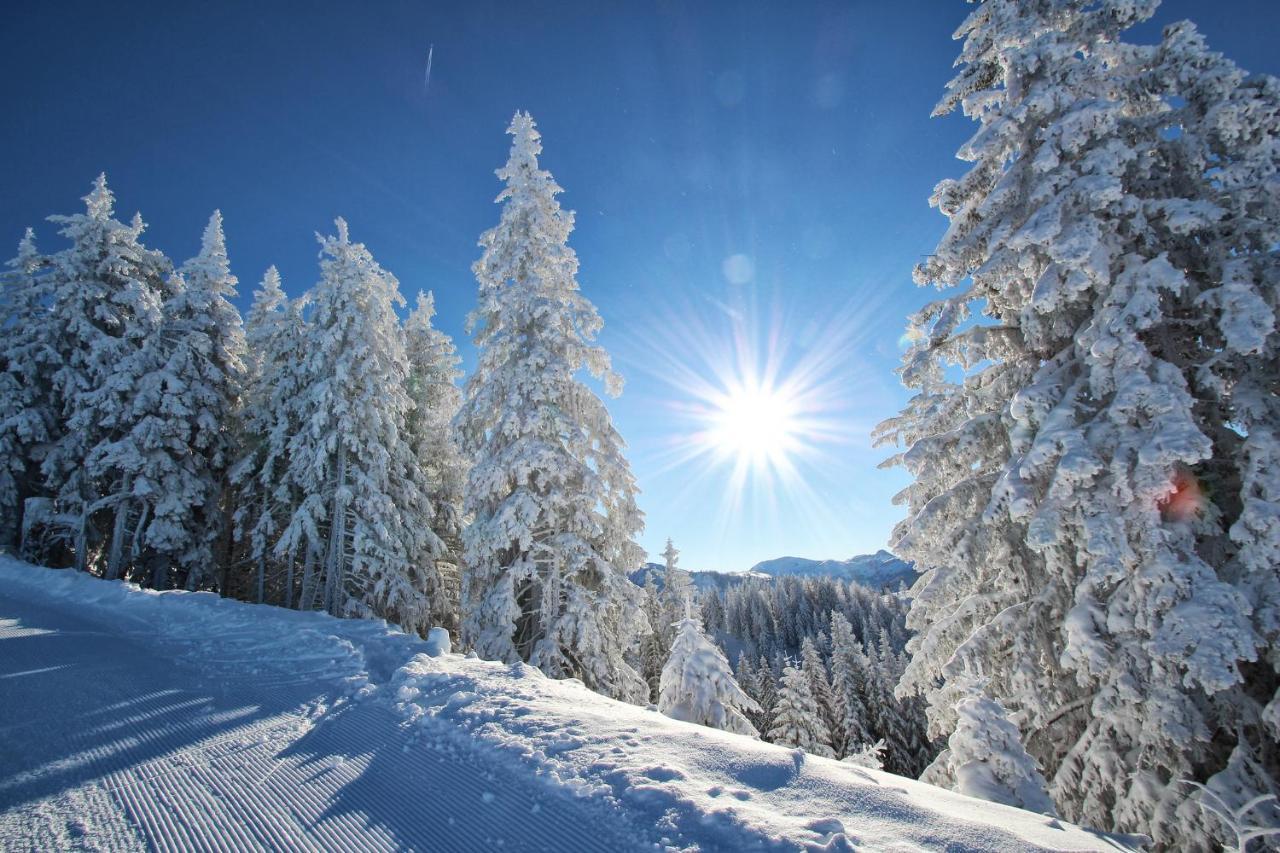 Hotel Alpenschloessl 상트조한임퐁가우 외부 사진